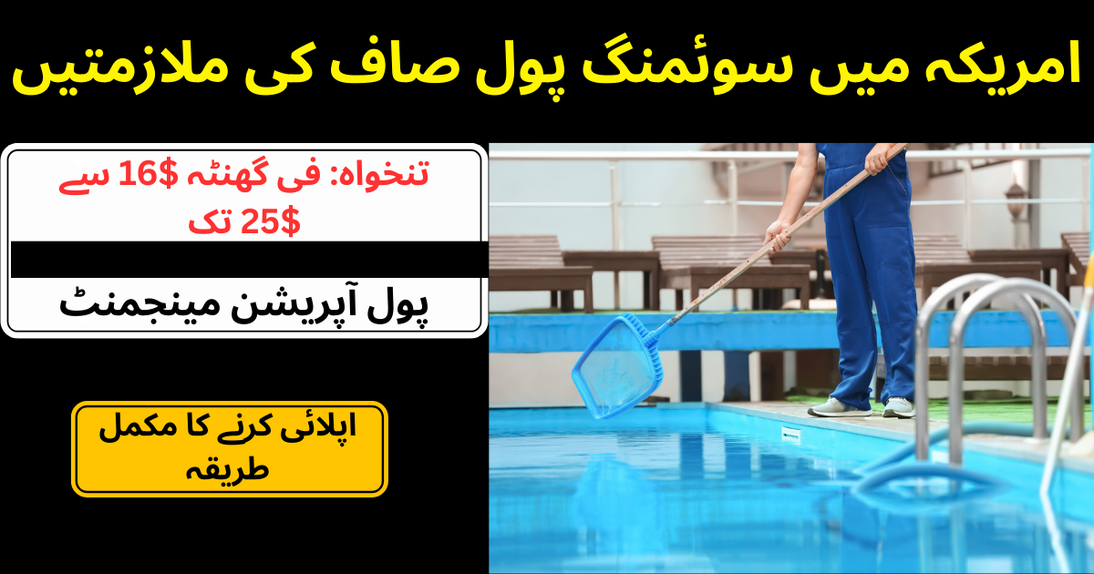 Swimming Pool Cleaner Job