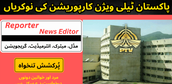 PTV Jobs